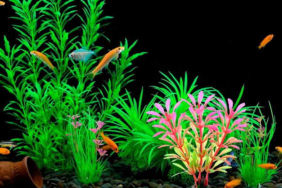 plantas artificiales para acuaticos